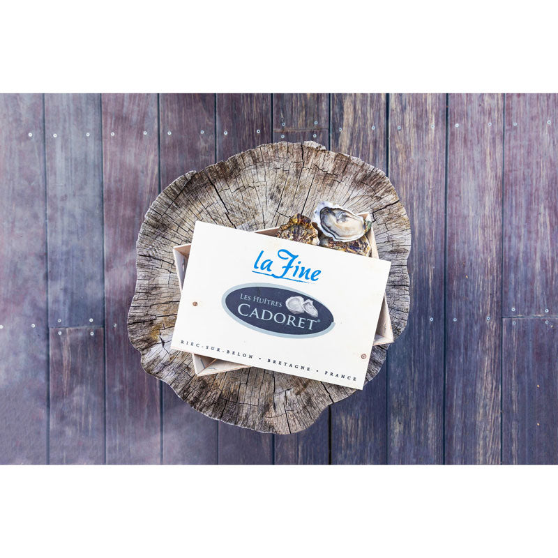 Fine de Bretagne Rock Oysters
