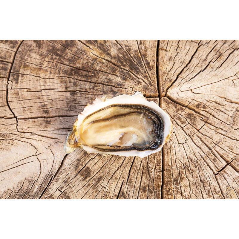 La Perle Noire Rock Oysters