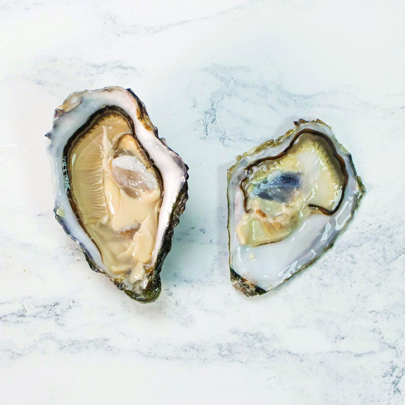 Ostra Regal Speciales Oysters N.3
