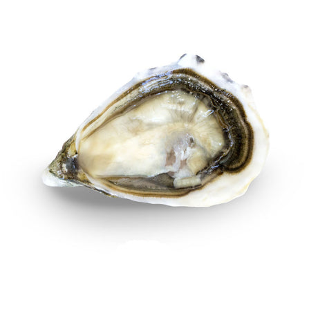 Marennes-Oleron Speciales Oysters N.3 - Zouf.biz