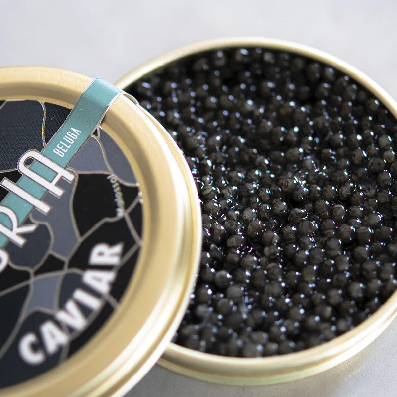 Caviar Beluga Huso