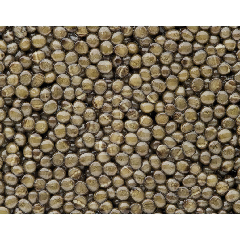 Caviar Oscietra - Classic - Zouf.biz