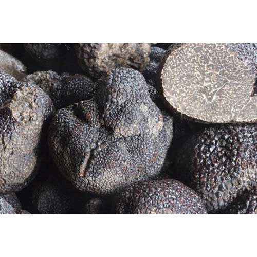 Fresh Perigord Black Truffle