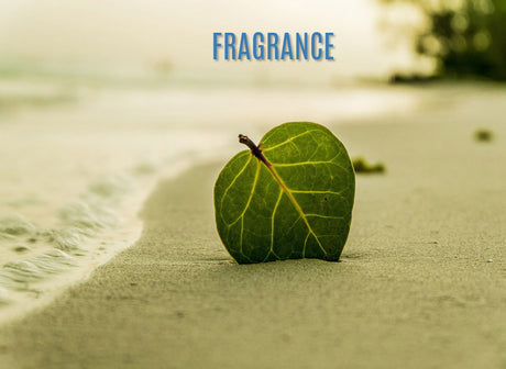 Fragrance Zouf.biz