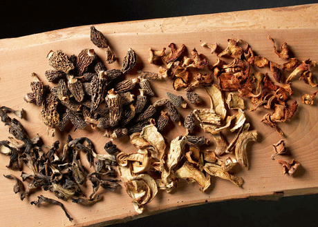 Dried Mushrooms