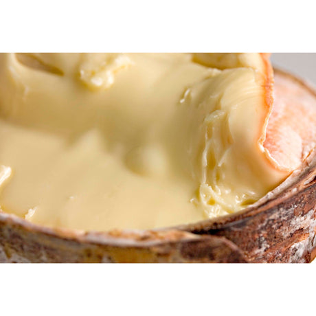 Soft & Semi-Soft Cheese