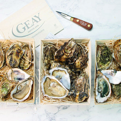 Marennes-Oleron Oysters