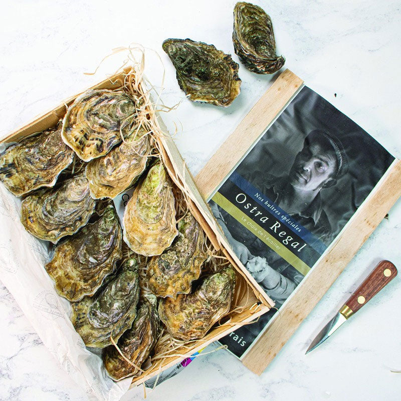 Ostra Regal Oysters