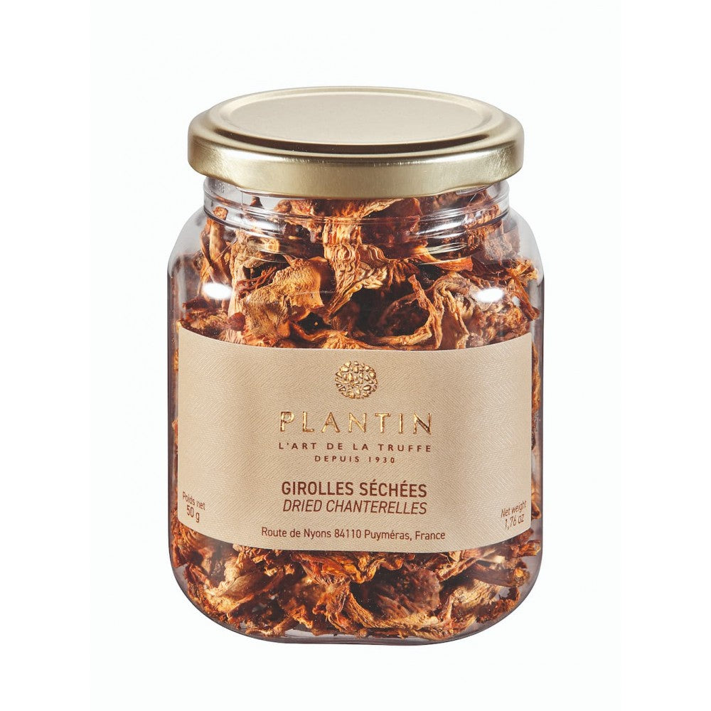 The Chanterelle Mushroom, also known as Girolle (Cantharellus cibarius), grows from the end of May in clear oak forests in temperate regions. Cantharellus cibarius is often found among moss