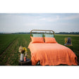 Pure Washed Linen Duvet Cover, Apricot