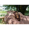 Pure Washed Linen Duvet Cover, Hazelnut