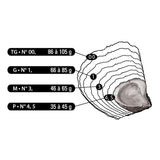 La Bélon Flat Oysters