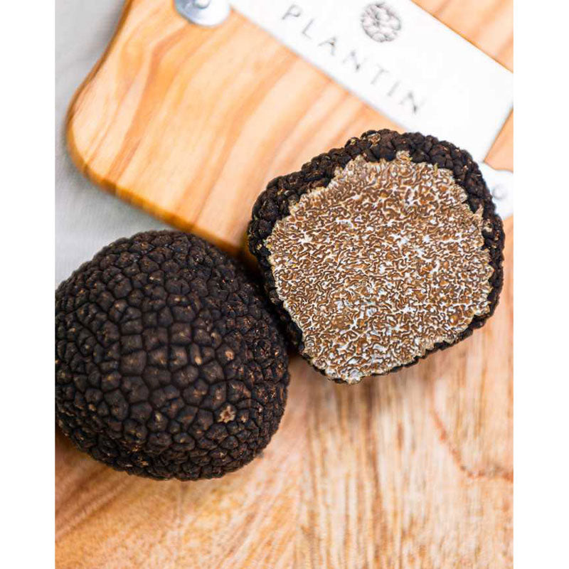 Fresh Whole Burgundy Truffle