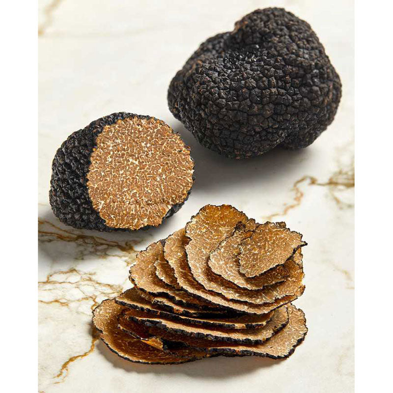 Fresh Black Burgundy Truffle Tuber Uncinatum
