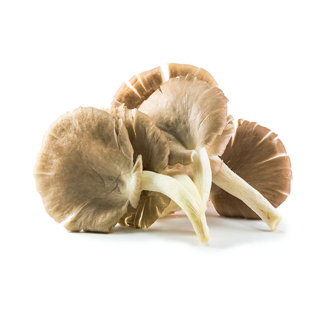Fresh Grey Chanterelle Mushrooms (Chanterelle Grise) - 500g