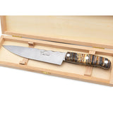 Laguiole Kitchen Knife with Mammoth Molar Handle