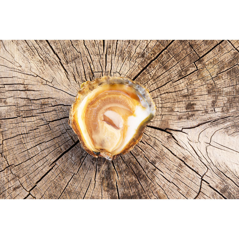 La Bélon Flat Oysters