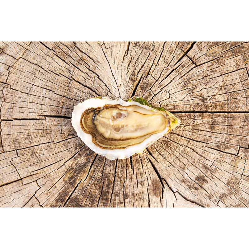 Fine de Bretagne Rock Oysters