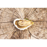 Fine de Bretagne Rock Oysters