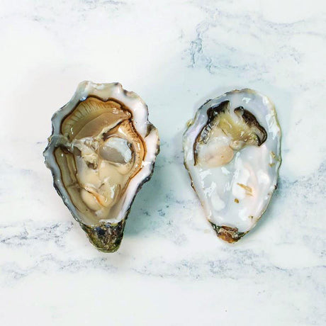 Gillardeau Speciales Oysters N.4 - Zouf.biz