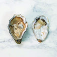 Gillardeau Speciales Oysters N.3 - Zouf.biz