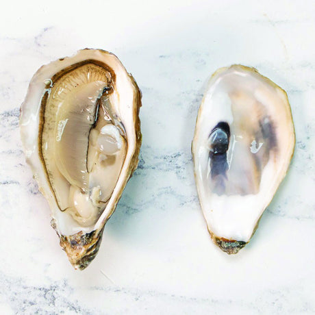 Fines de Claire Marennes-Oleron Oysters N.2 - Zouf.biz