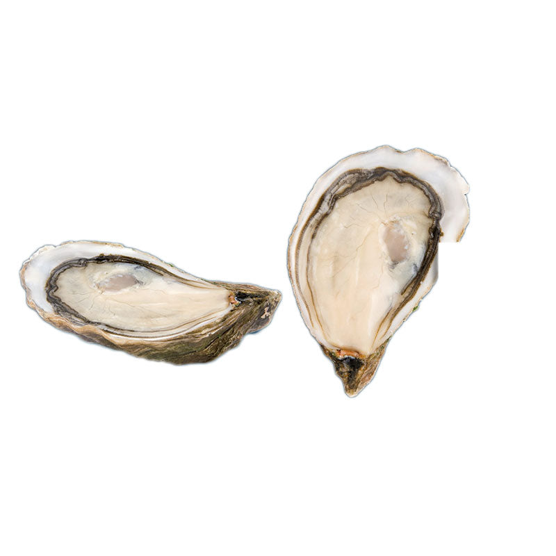 Red Label Pousse en Claire Marennes-Oleron Oysters
