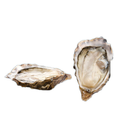 Speciale de Claire Marennes-Oleron Oysters