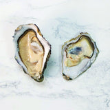 Ostra Regal Speciales Oysters N.3