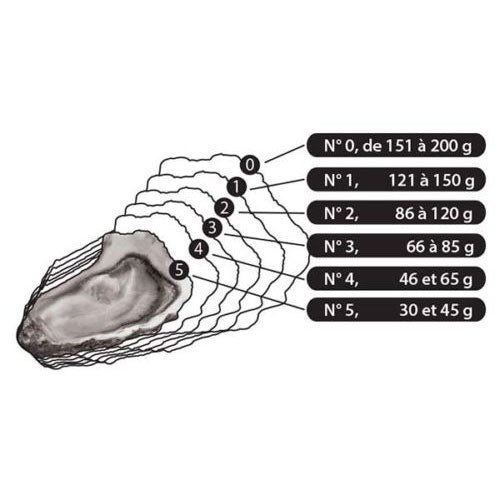 La Perle Noire Rock Oysters