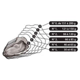 La Perle Noire Rock Oysters