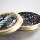 Caviar Beluga Huso