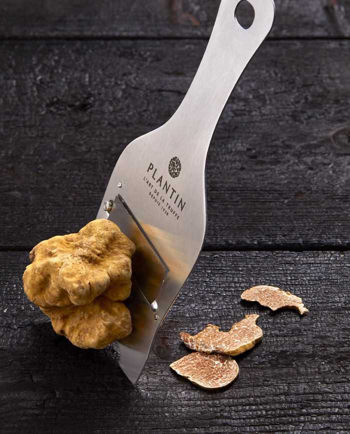 Fresh Alba White Truffle