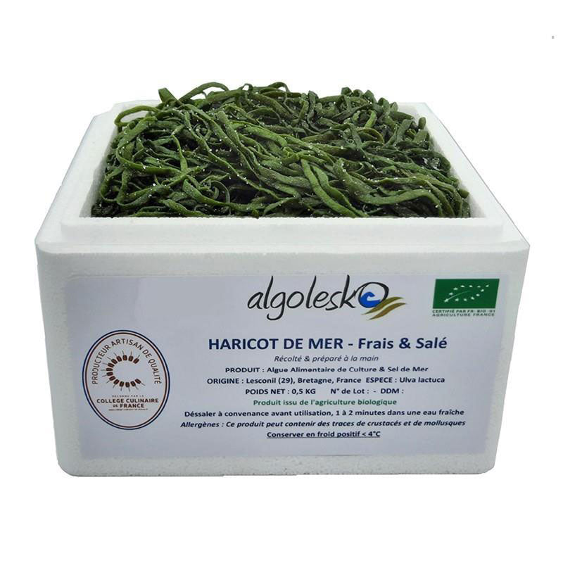 Organic Fresh Salted Seaweed Sea Spaghetti - 500g - Zouf.biz