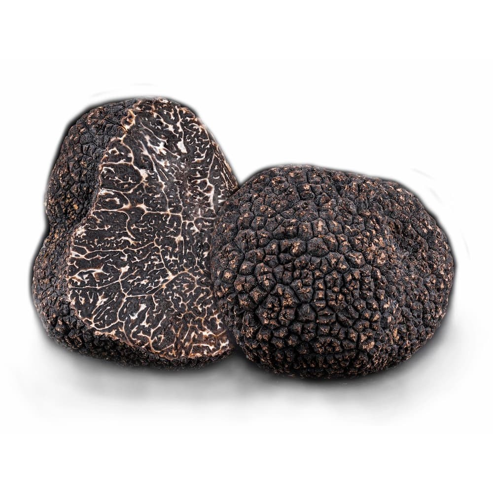 Fresh Black Winter Truffle - Zouf.biz