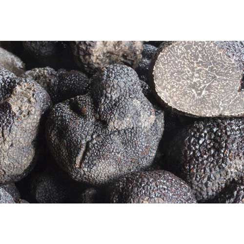 Fresh Black Winter Truffle - Zouf.biz